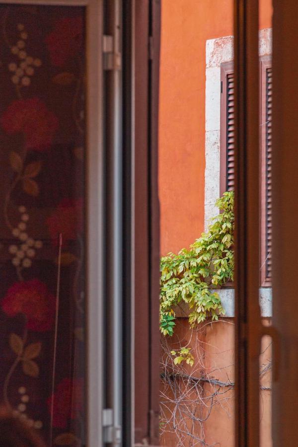 Trasteverehome - Paglia House Of 17Century In Trastevere روما المظهر الخارجي الصورة